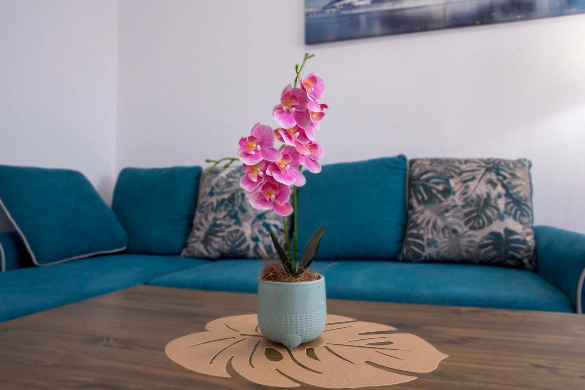 Casa Del Durmitor Apartment Zabljak (Zabljak)